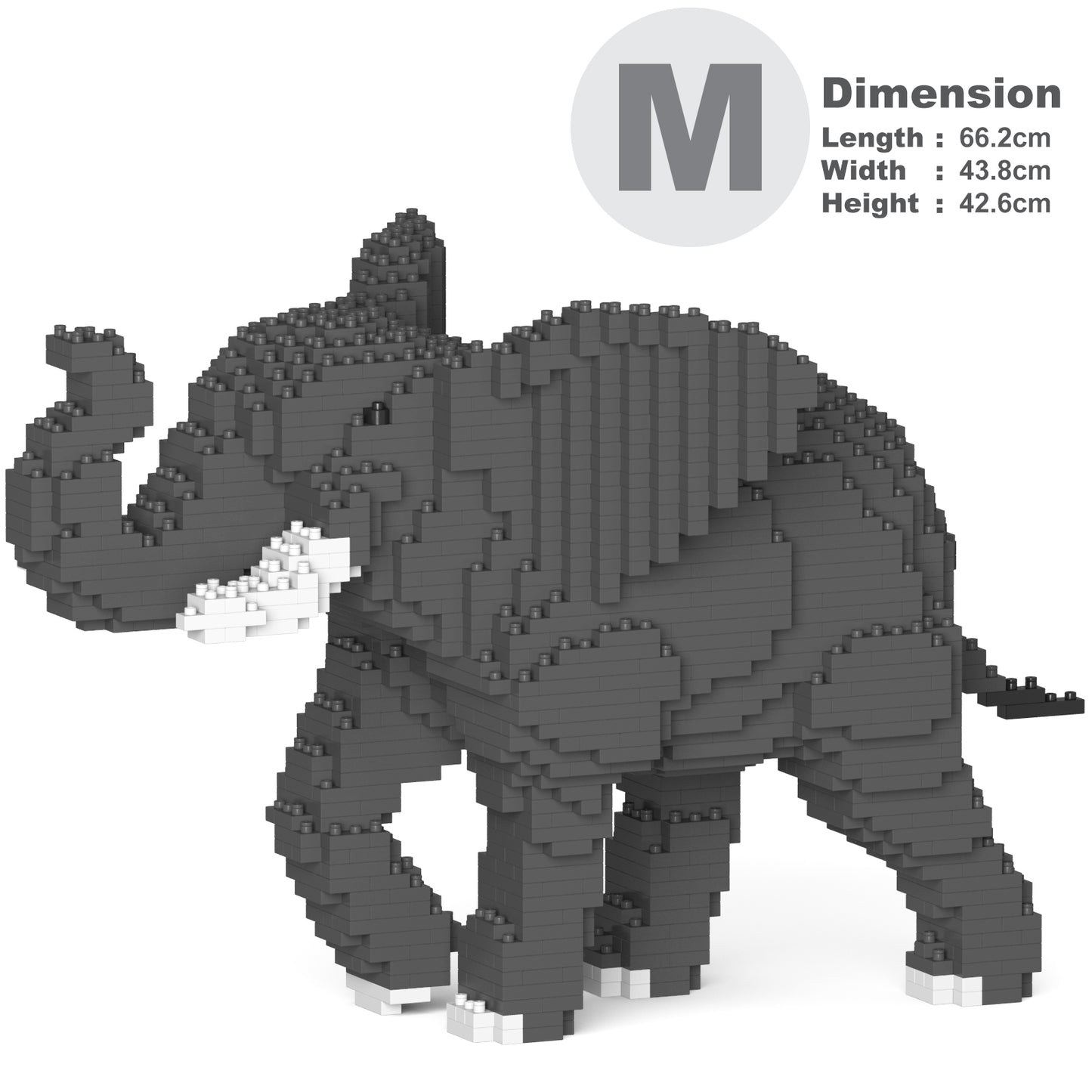 ゾウ 01S / 01C
