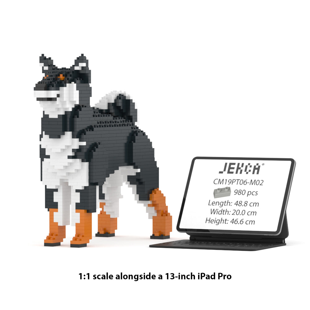 柴犬 01S-M02 / 01C-M02