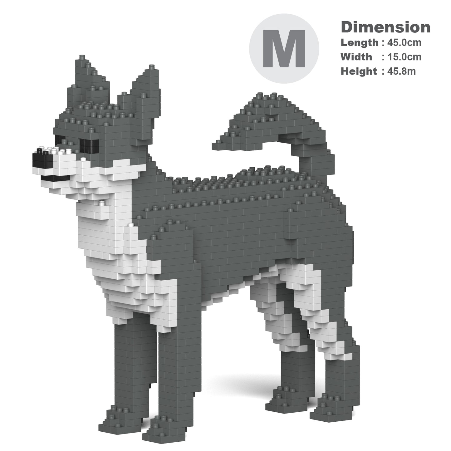 チワワ 01S-M04 / 01C-M04