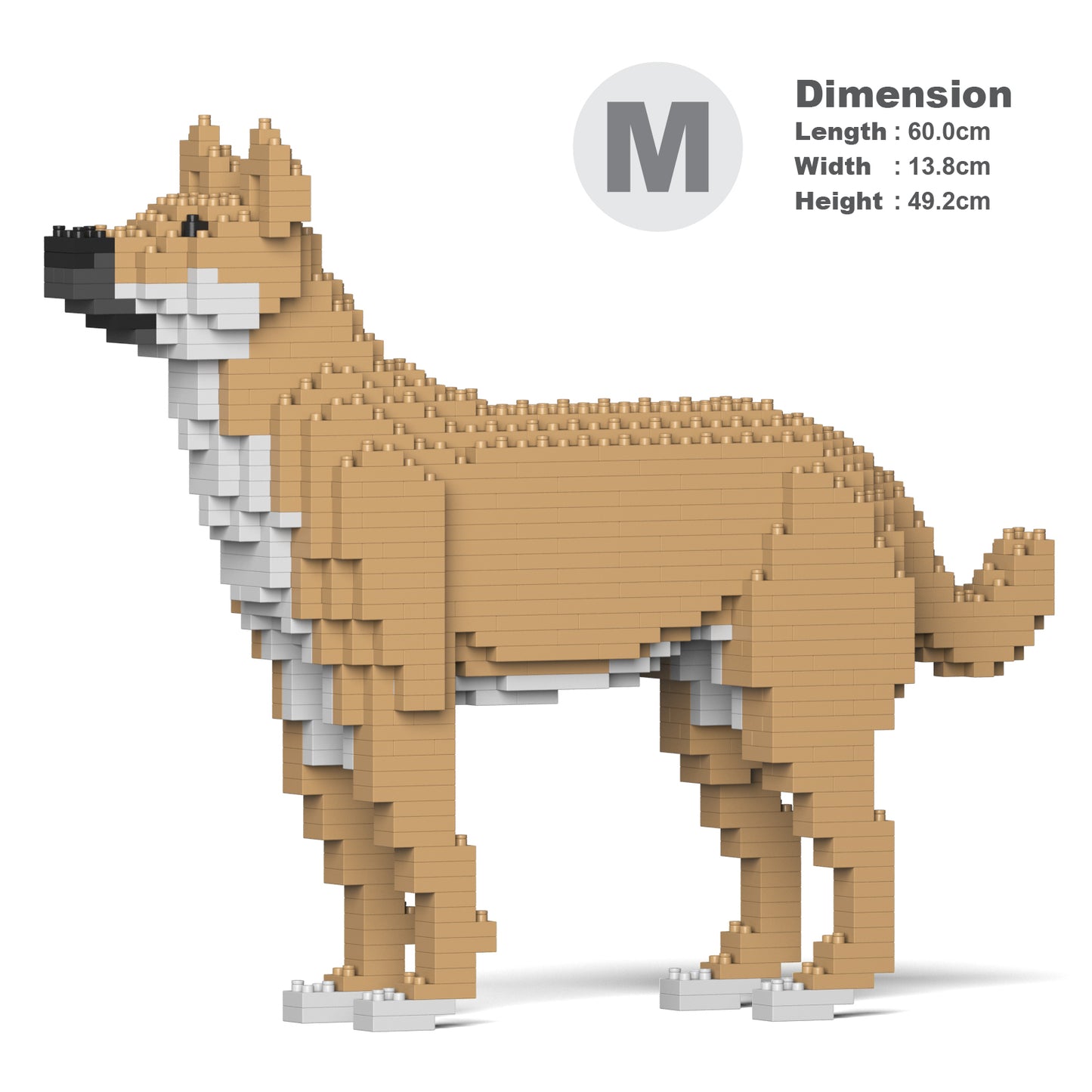 雑種犬 01S-M01 / 01C-M01