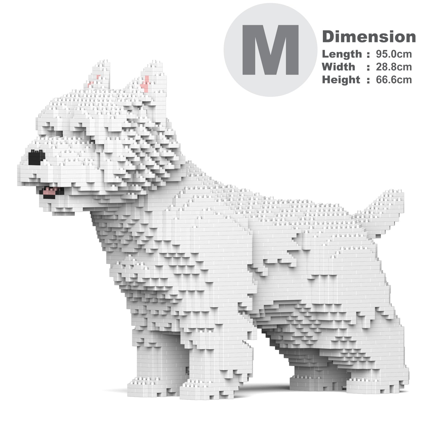 ウエスト・ハイランド・ホワイト・テリア 02S /02C