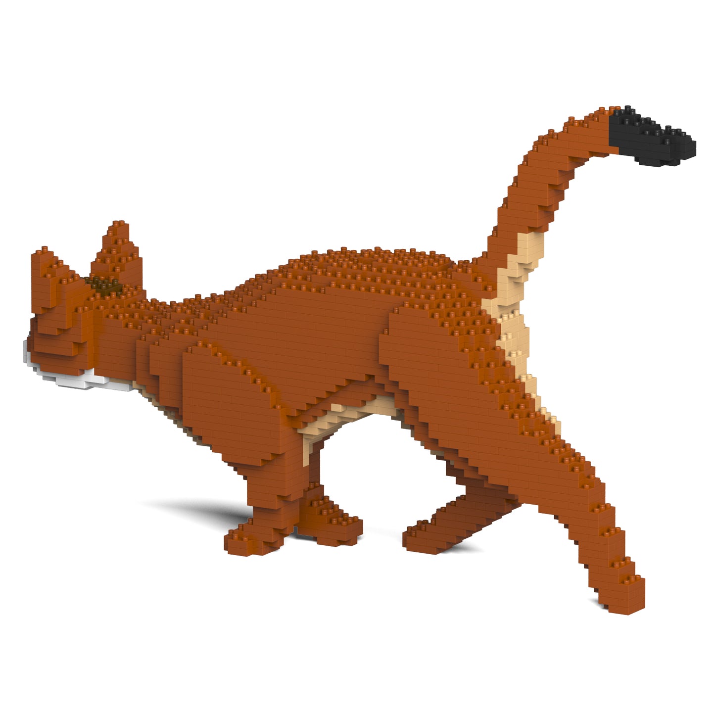 アビシニアン 03S