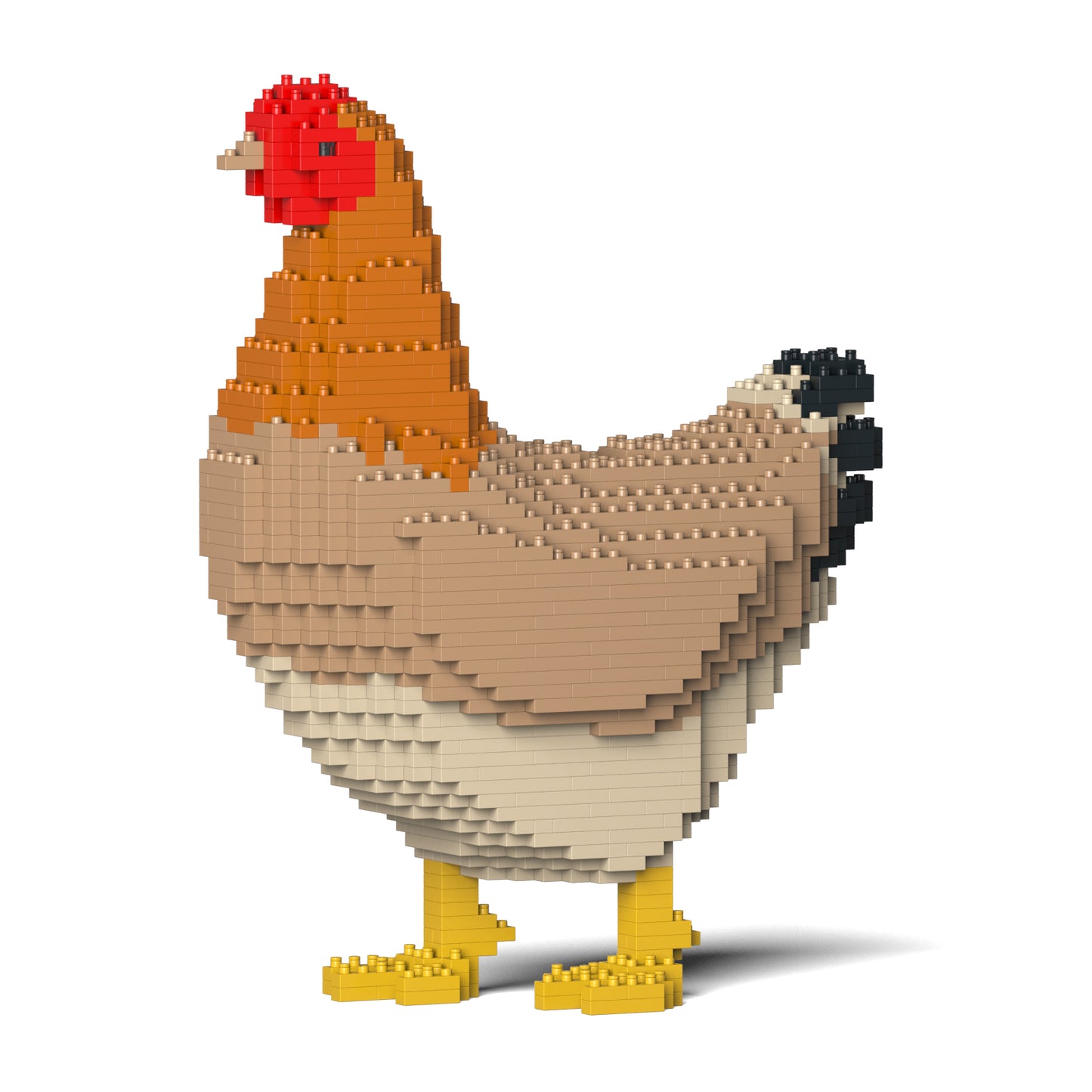 ニワトリ 01S / 01C