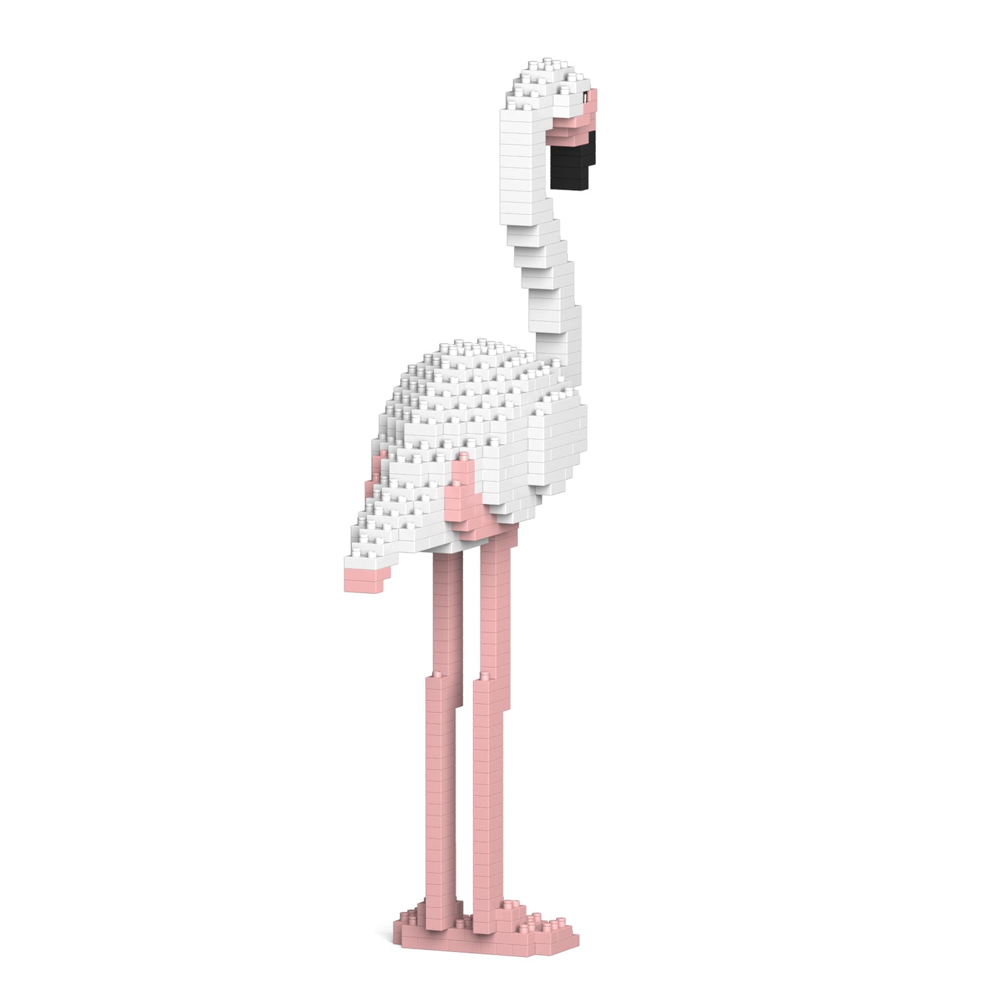 フラミンゴ 01S-M01