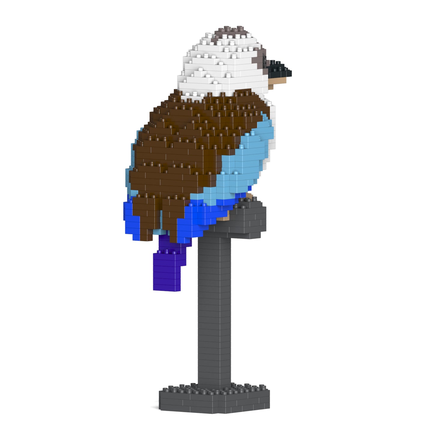 ワライカワセミ 01S-M02