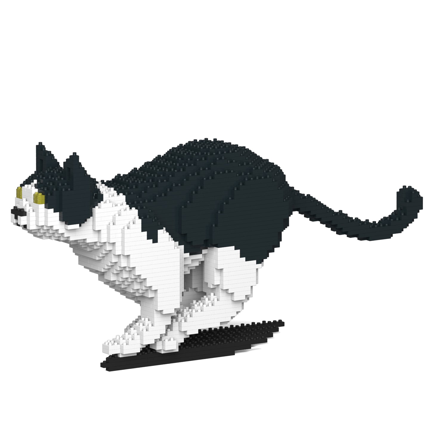 ねこ 21S-M01