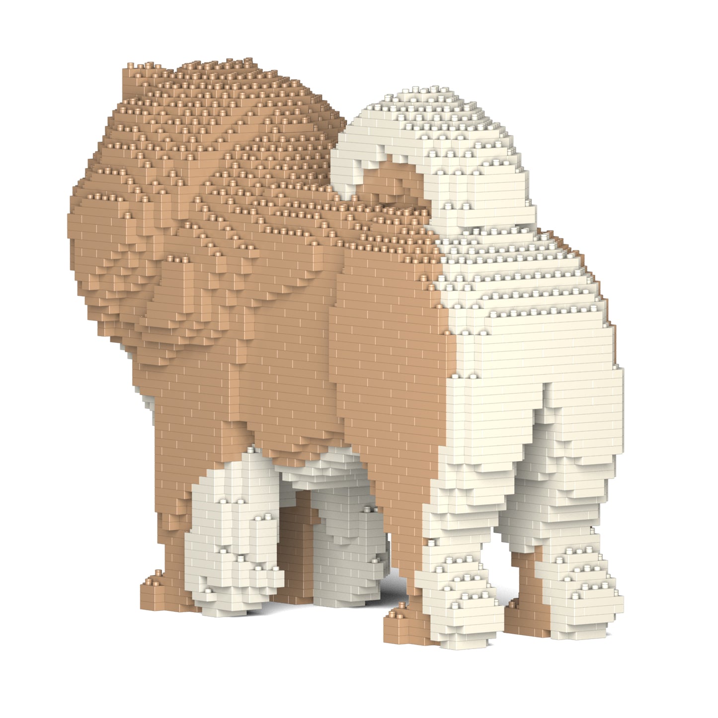 チャウ・チャウ 02S-M01 / 02C-M01