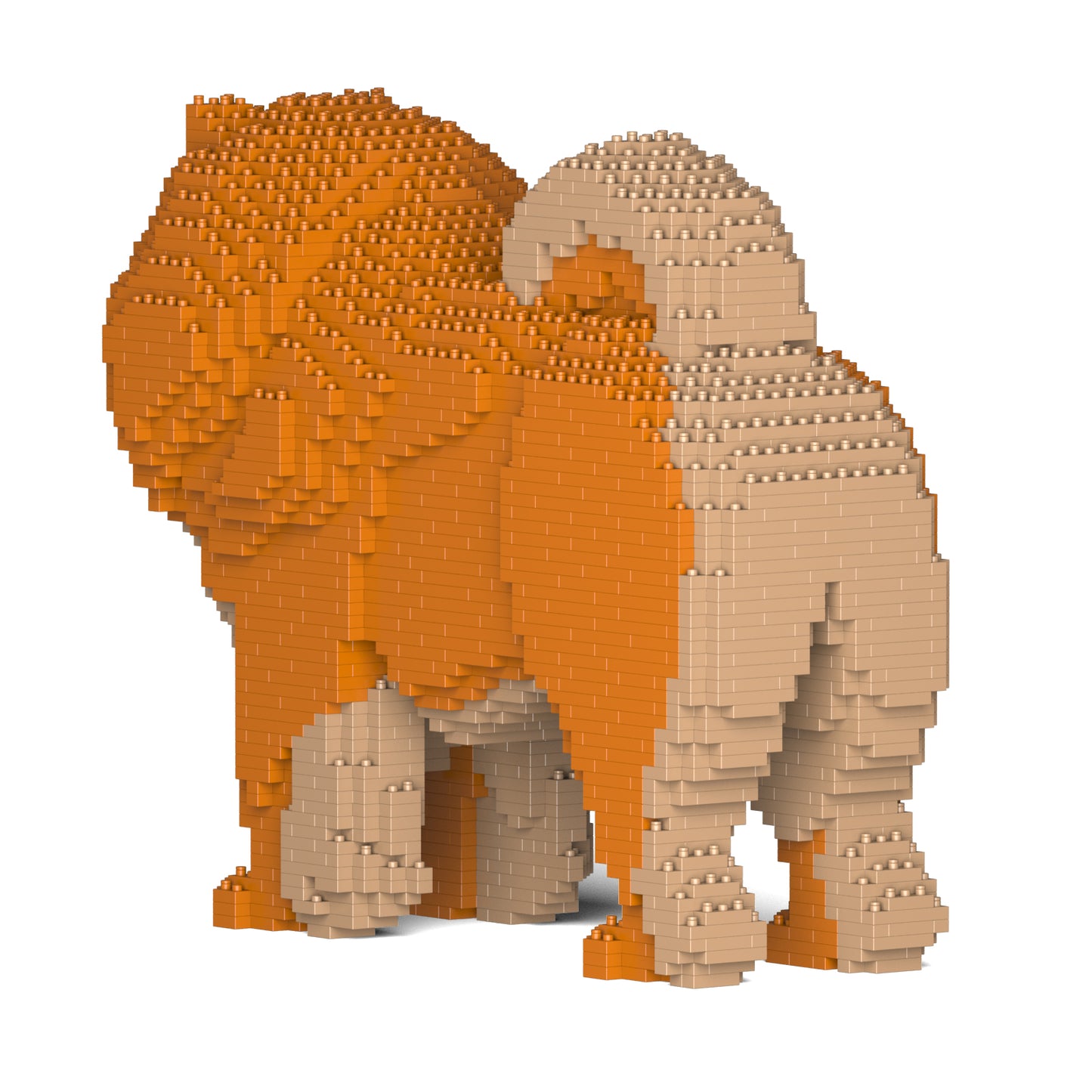 チャウ・チャウ 02S-M02 / 02C-M02