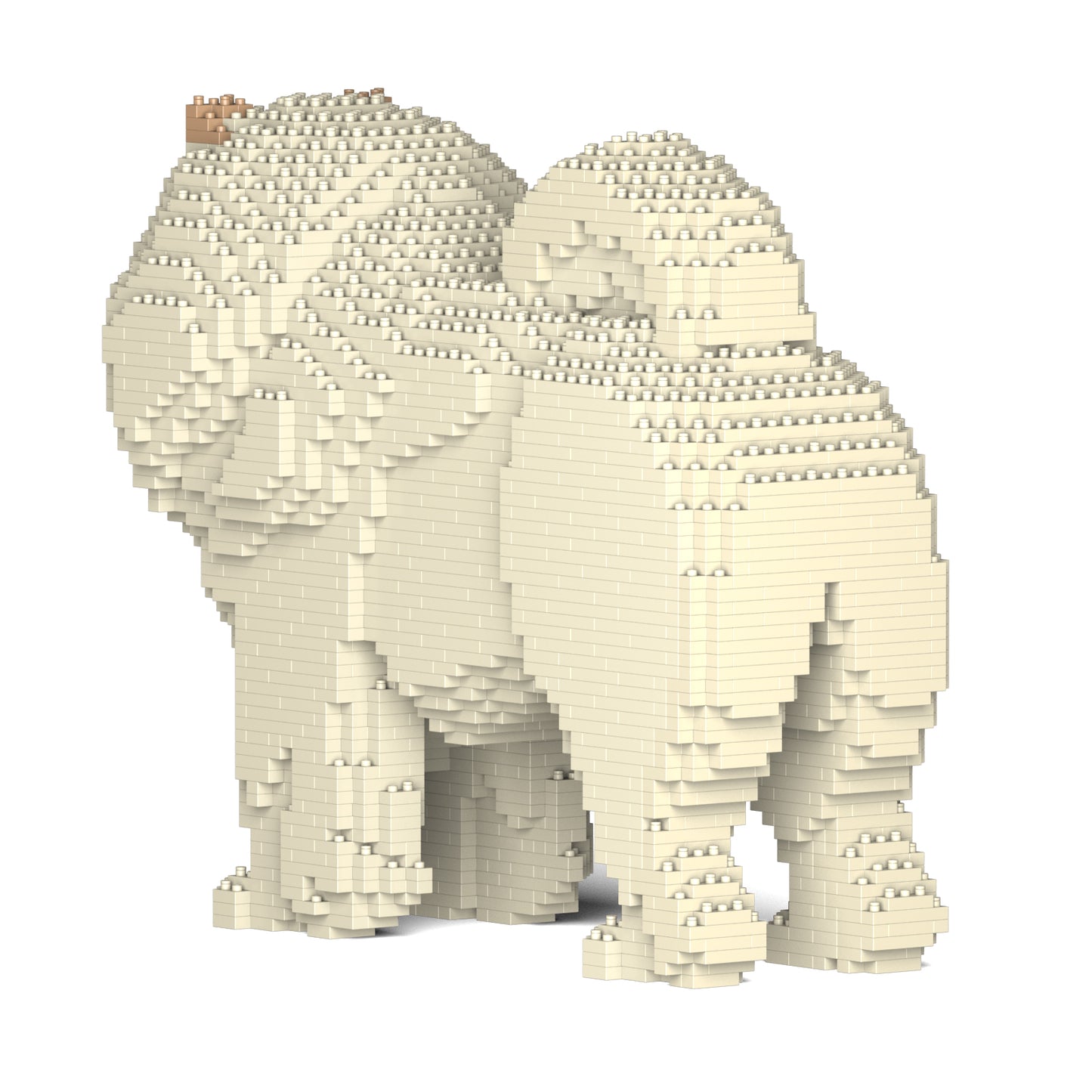 チャウ・チャウ 02S-M04 / 02C-M04