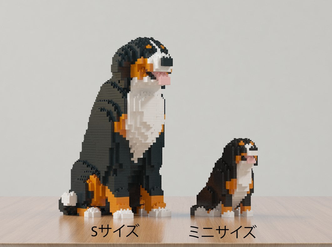 バーニーズ・マウンテン・ドッグ (ミニ) 01S