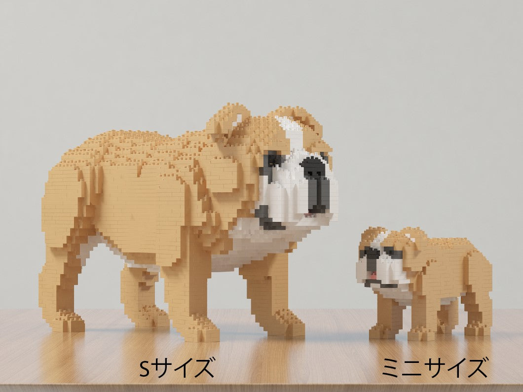 イングリッシュ・ブルドッグ (ミニ) 01S