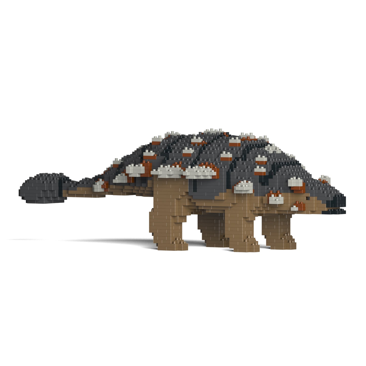 アンキロサウルス 01S-M01 / 01C-M01