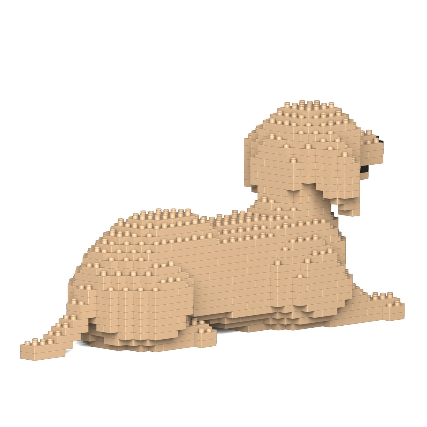 【訳あり(パッケージ不良)】ダックスフンド 04S-M03 (Black Friday 2025)