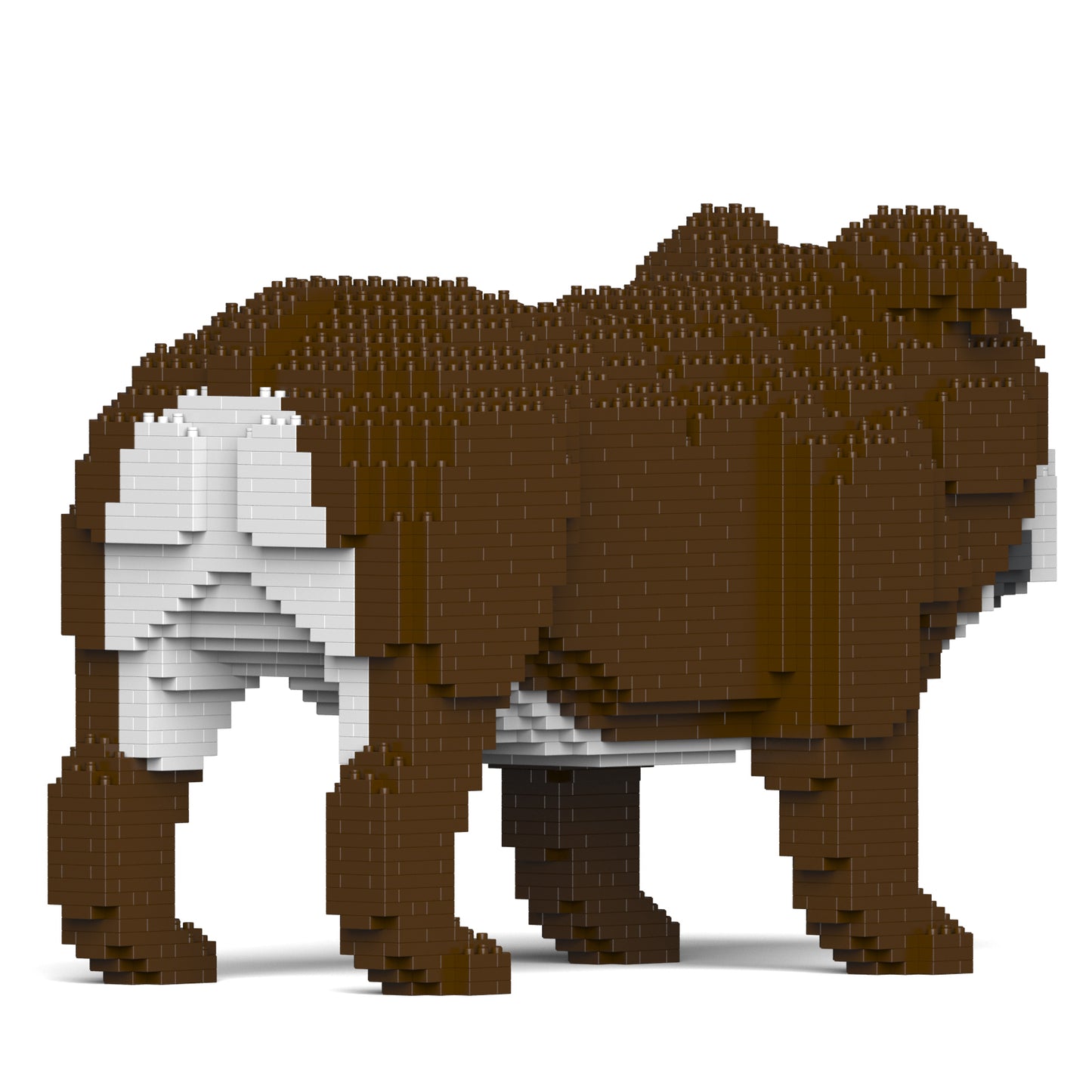 イングリッシュ・ブルドッグ 4-in-1 パック 01S-M01 (Sサイズ)