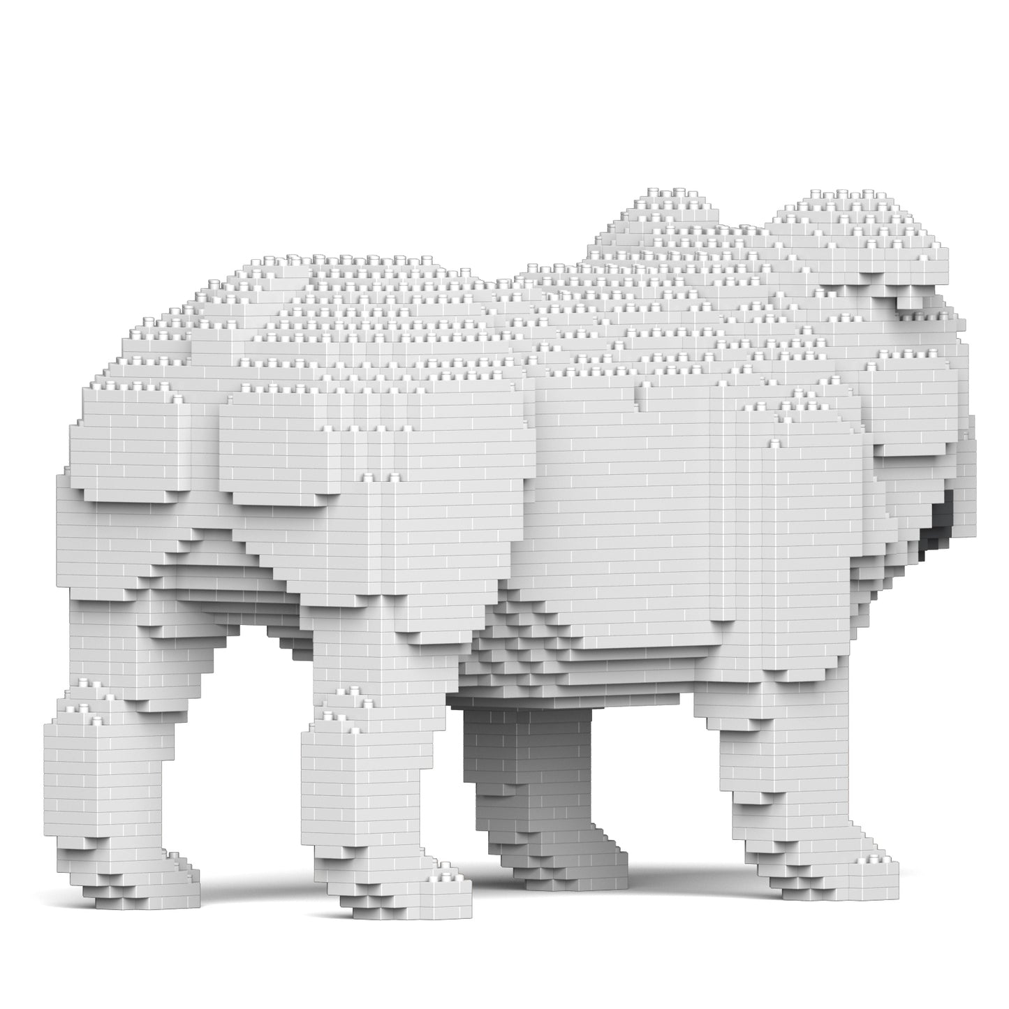 イングリッシュ・ブルドッグ 4-in-1 パック 01S-M02 (Sサイズ)