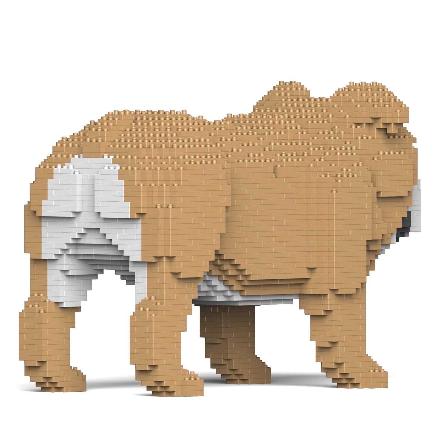 【訳あり(パッケージ不良)】イングリッシュ・ブルドッグ 4-in-1 パック 01S-M03 (Black Friday 2025)