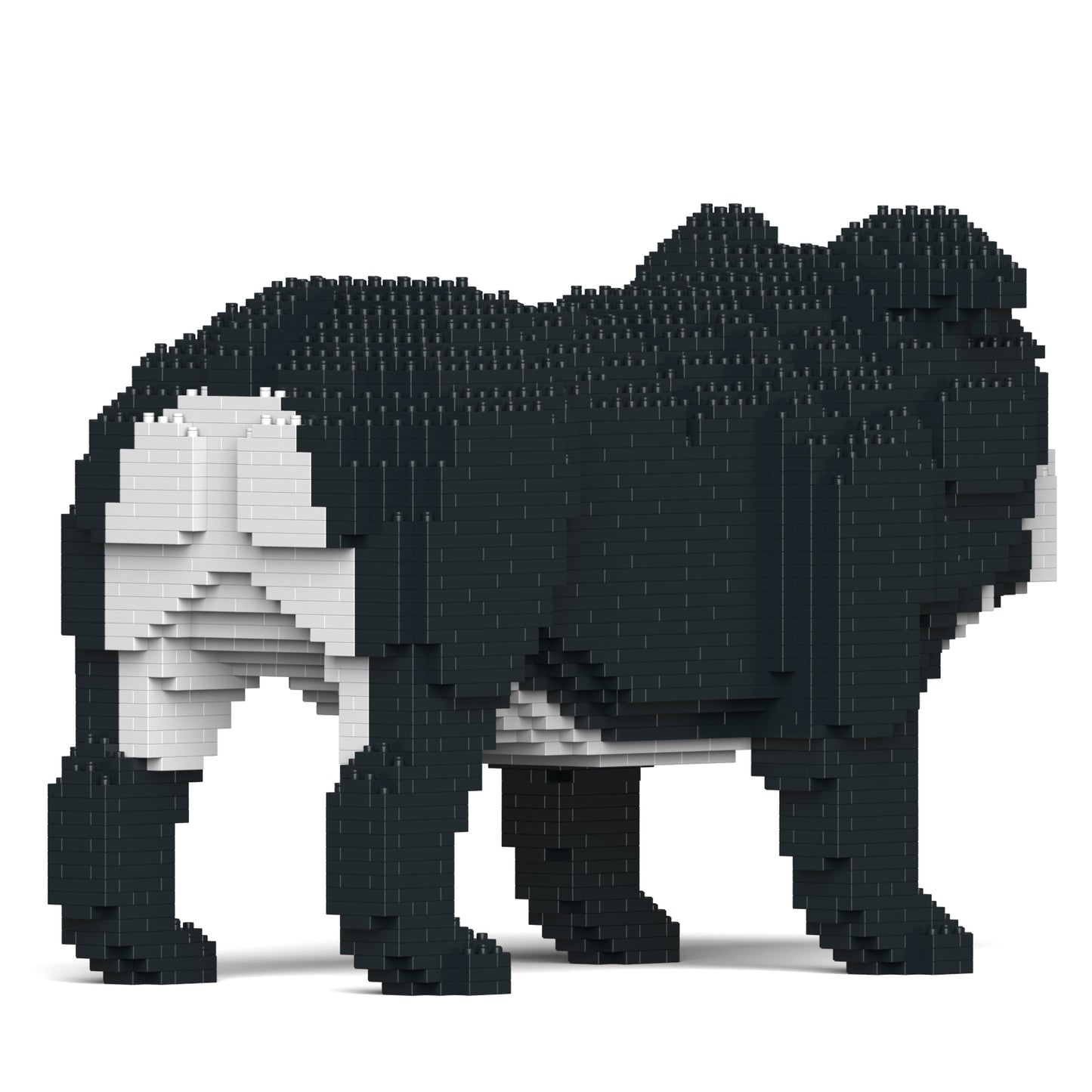 イングリッシュ・ブルドッグ 4-in-1 パック 01C-M01 (Mサイズ)