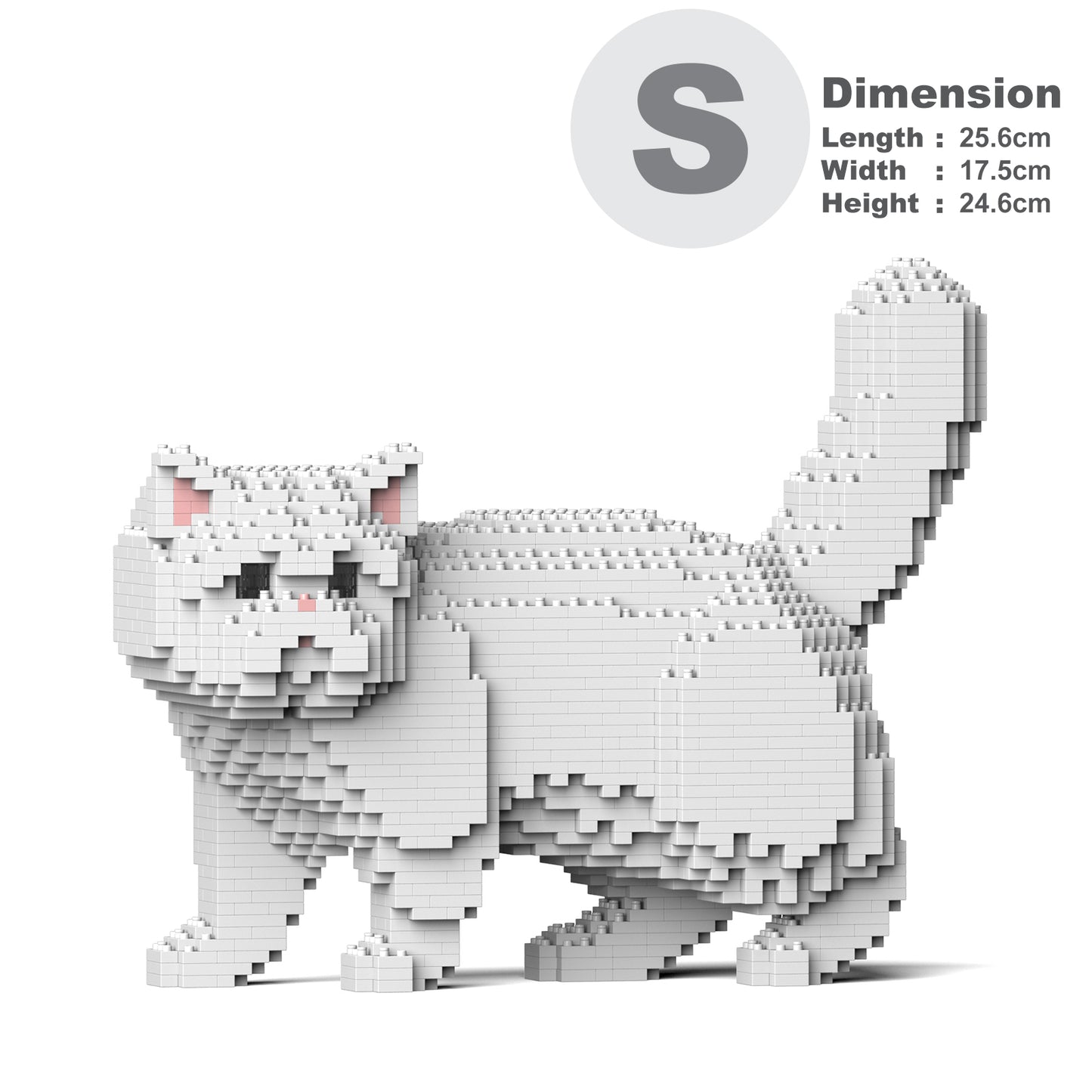 エキゾチック・ショートヘア 01S-M03
