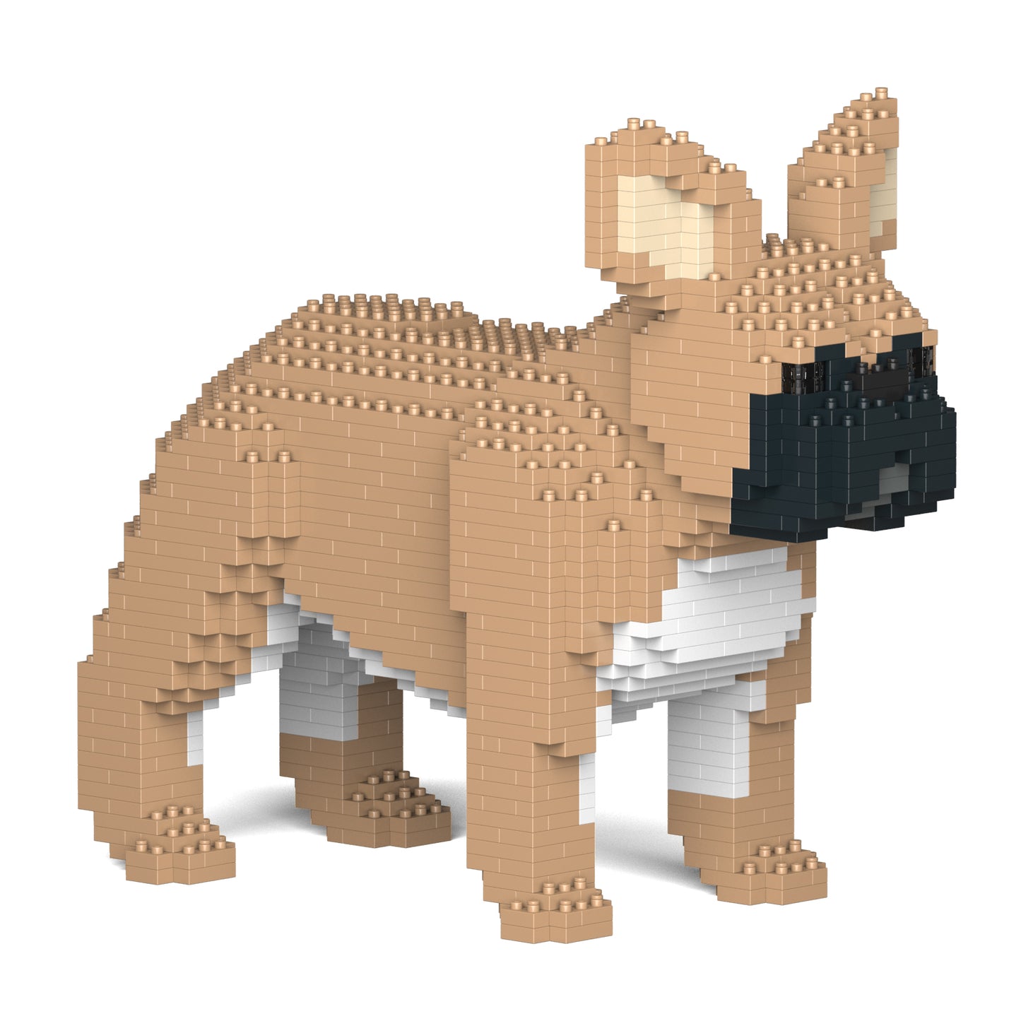 フレンチ・ブルドッグ 02S-M01 / 02C-M01