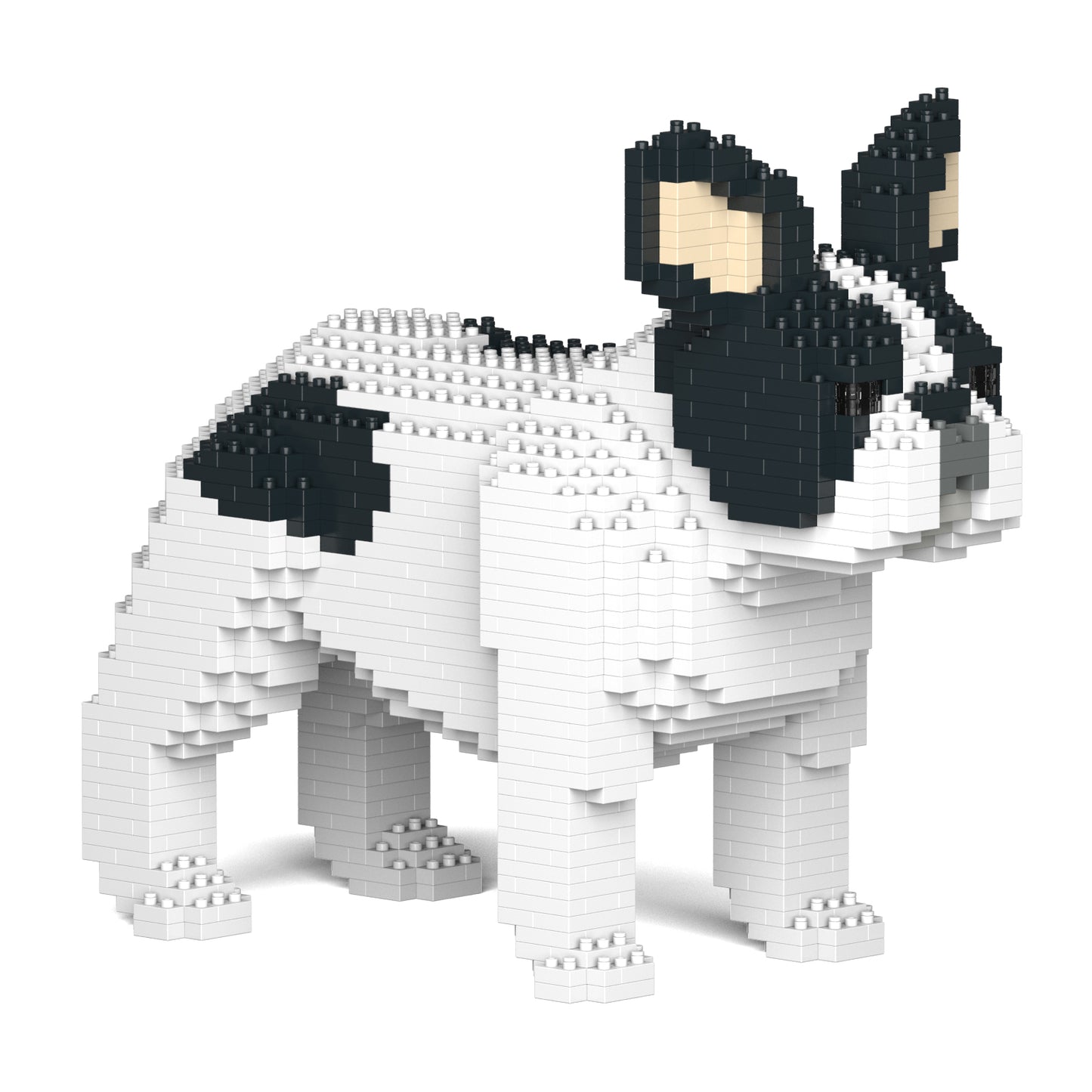 フレンチ・ブルドッグ 02S-M04 / 02C-M04