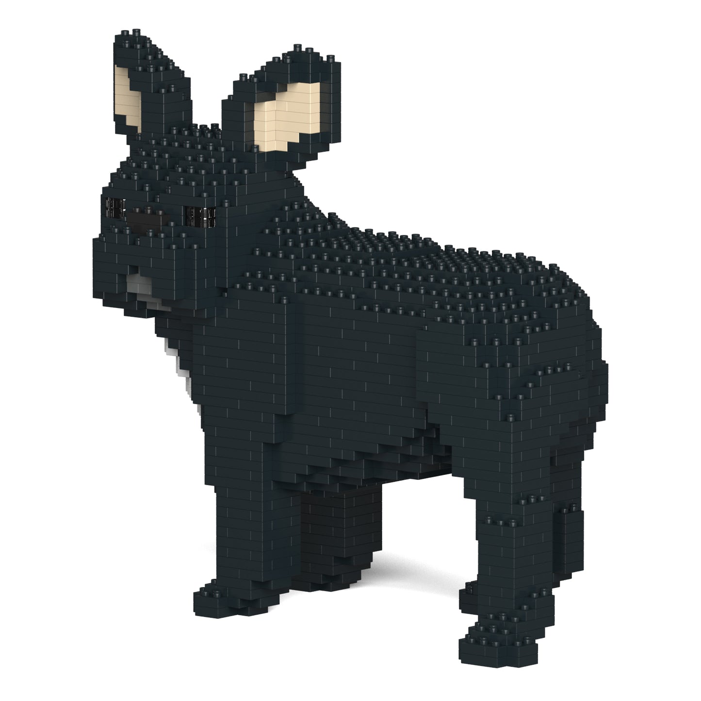 フレンチ・ブルドッグ 03S-M03 / 03C-M03