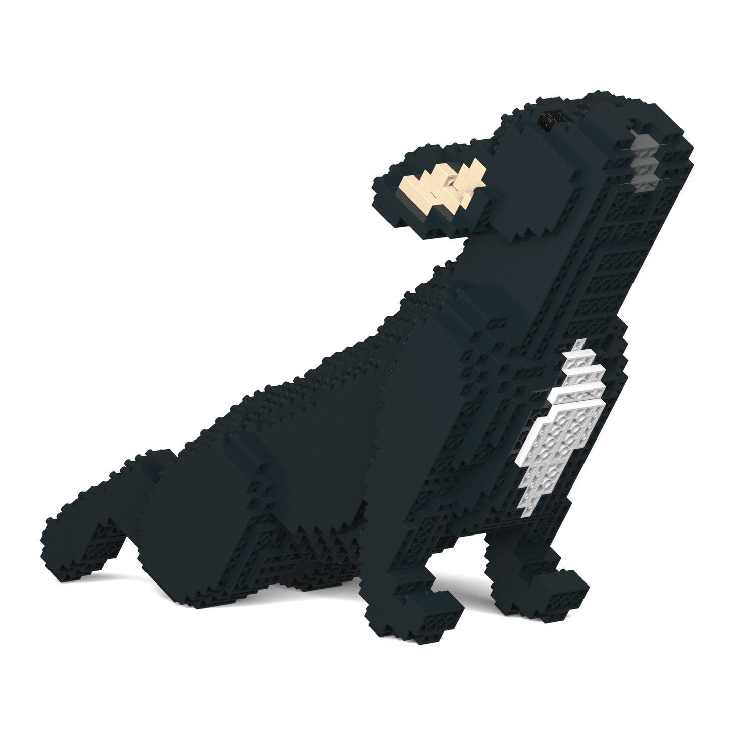 フレンチ・ブルドッグ 05S-M03 / 05C-M03