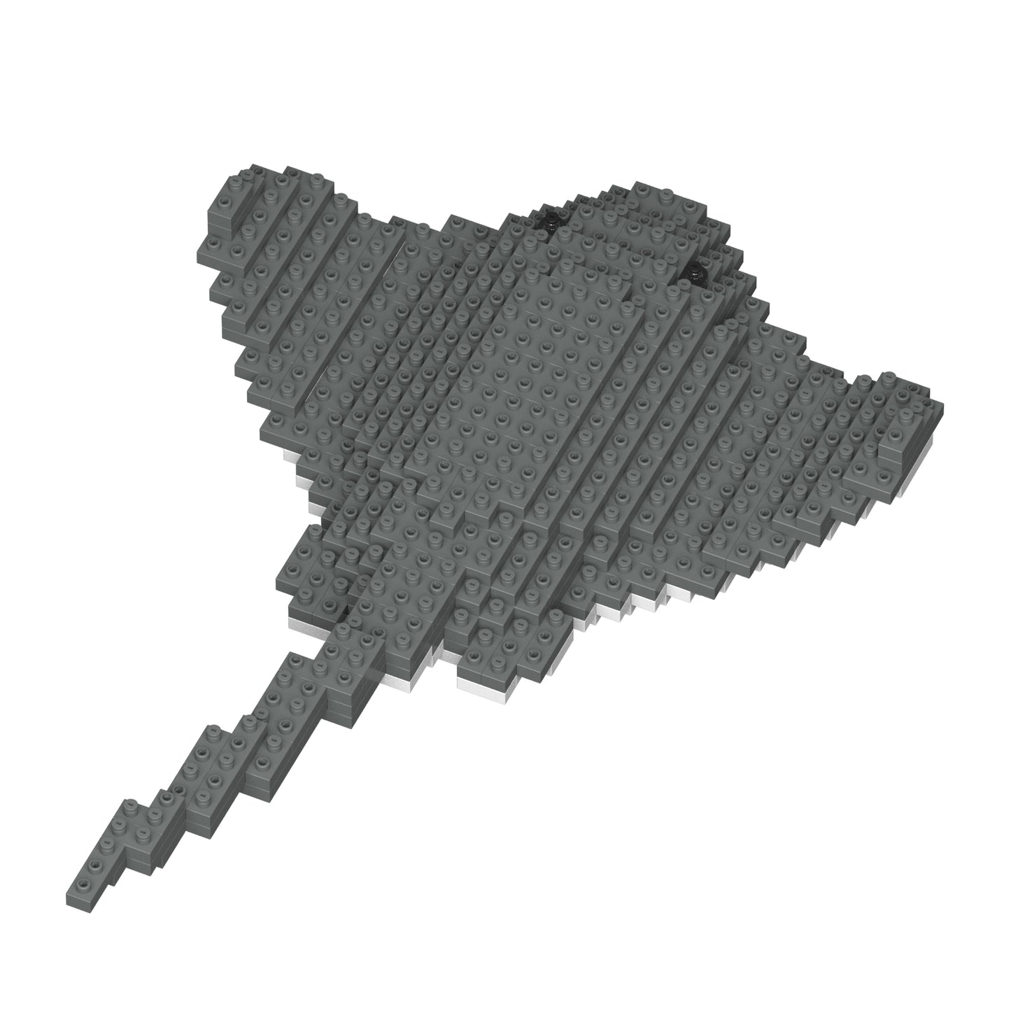 アカエイ 01S / 01C