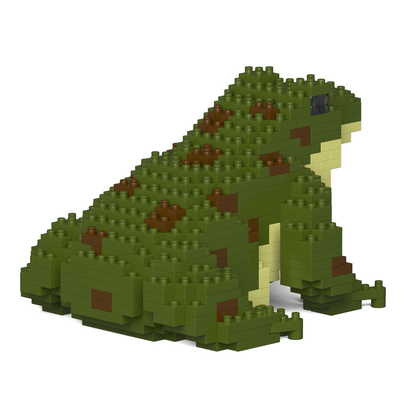 カエル 01S-M02 / 01C-M02