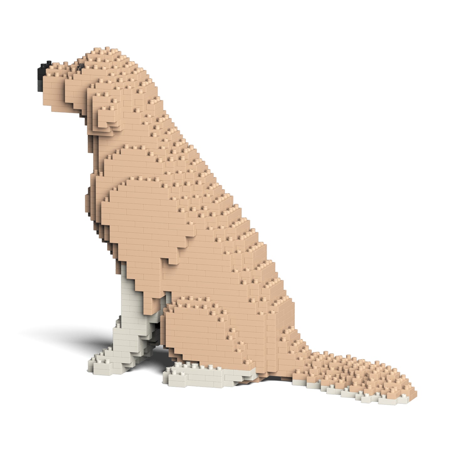 ゴールデン・レトリバー 03S-M01 / 03C-M01