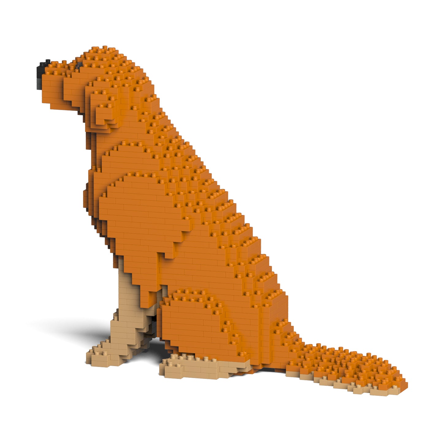 ゴールデン・レトリバー 03S-M02 / 03C-M02