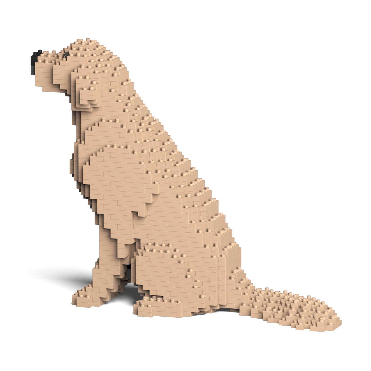 ゴールデン・レトリバー 03S-M03 / 03C-M03