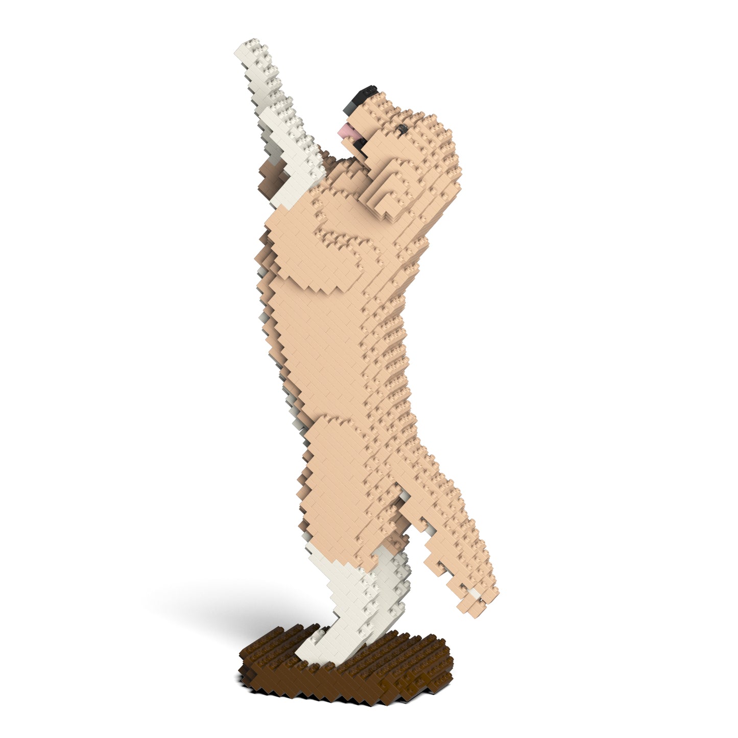 ゴールデン・レトリバー 04S-M01 / 04C-M01