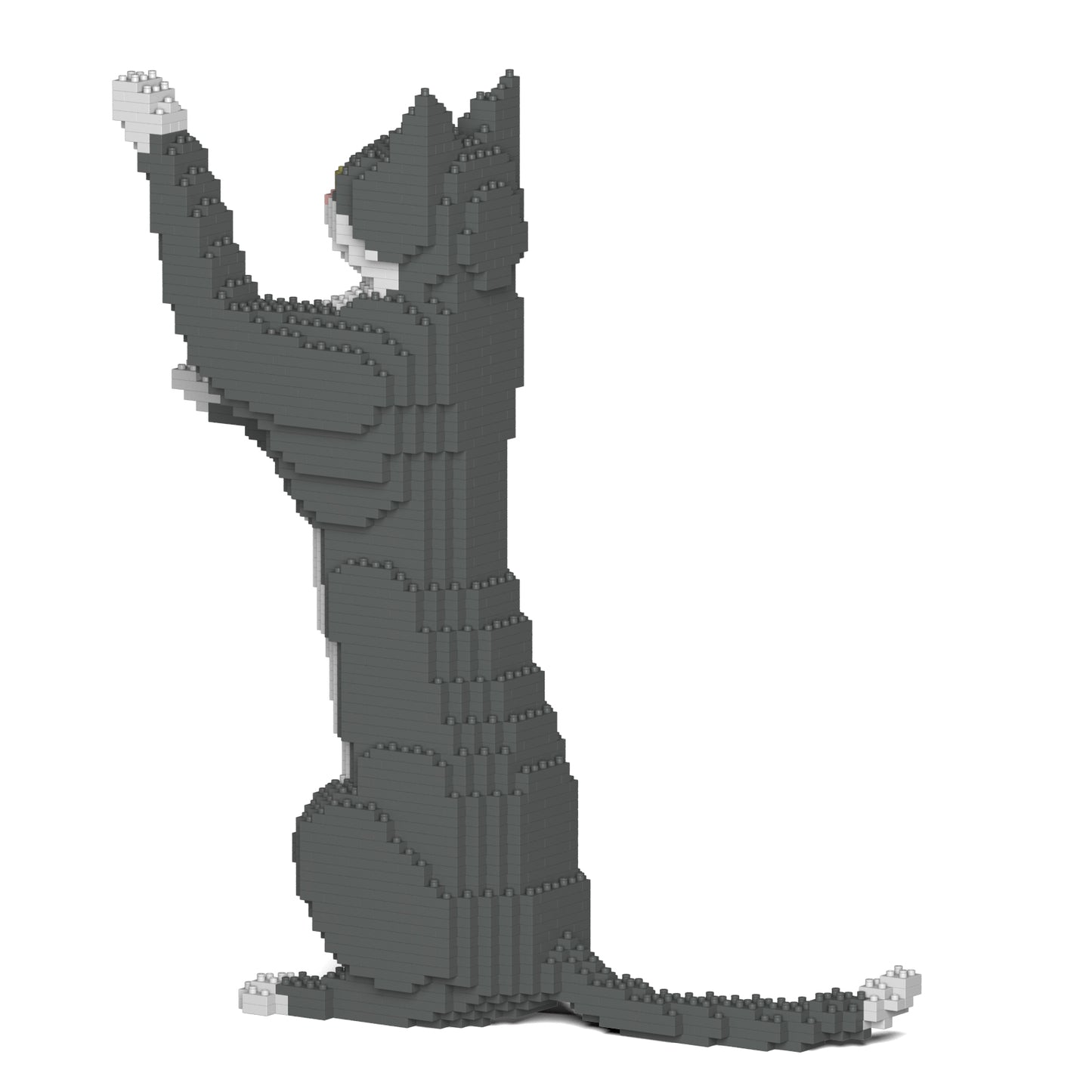 グレータキシード猫 05S