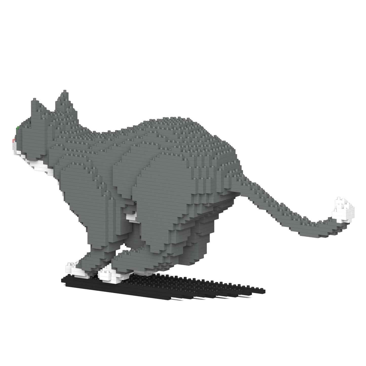 グレータキシード猫 06S