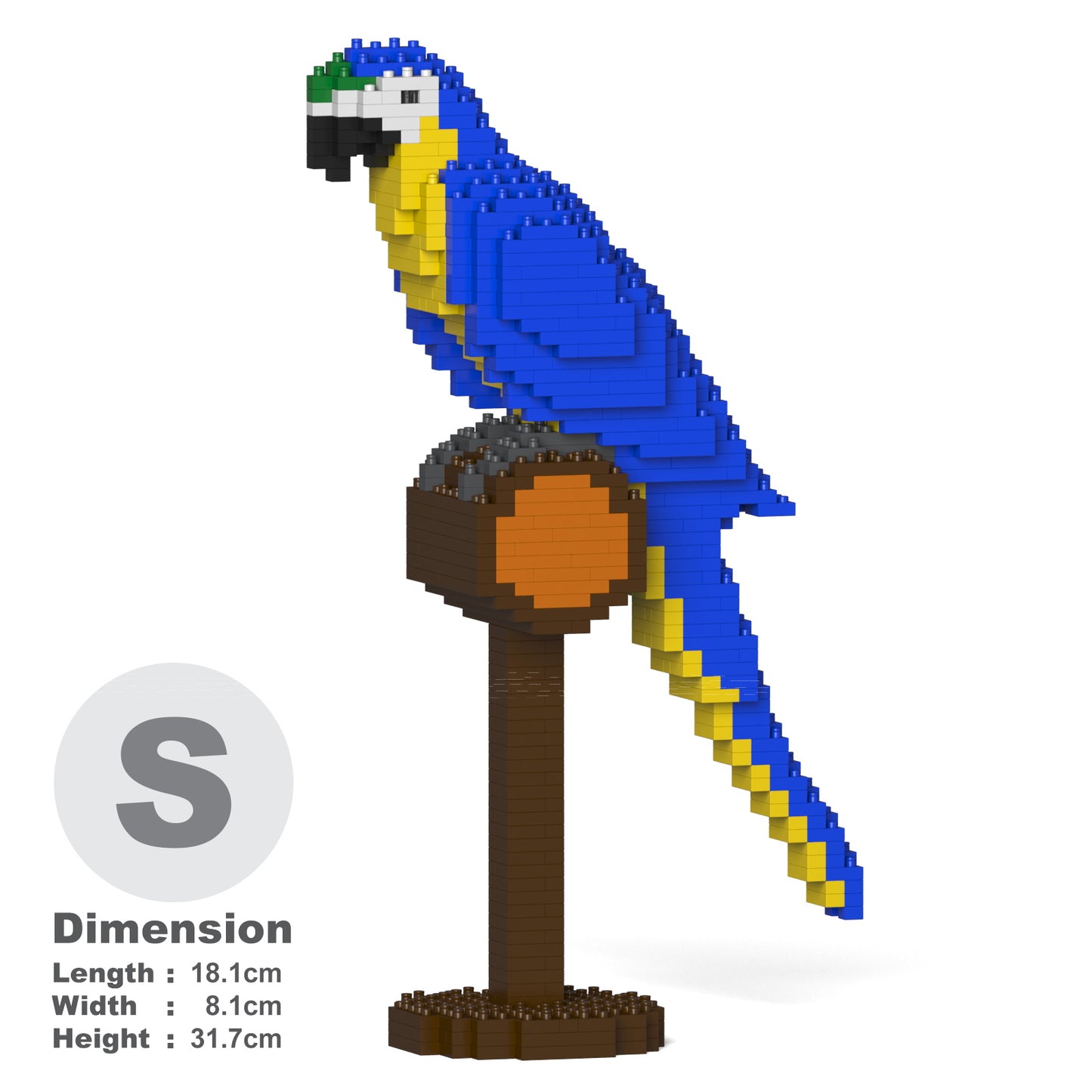 ルリコンゴウインコ 01S