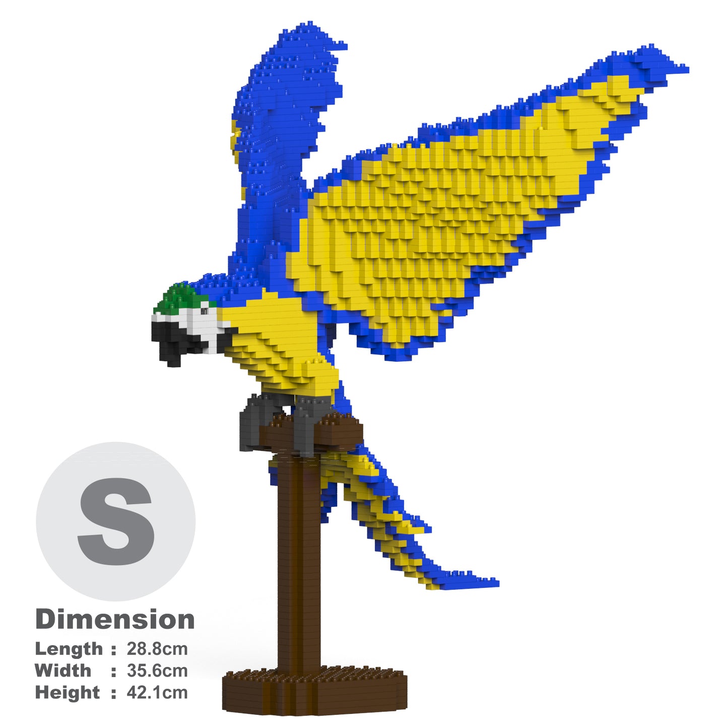 ルリコンゴウインコ 02S