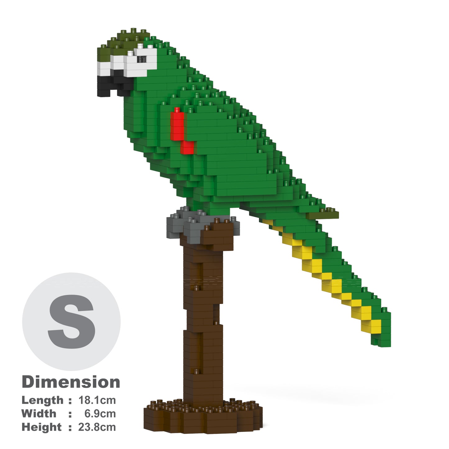 コミドリコンゴウインコ 01S