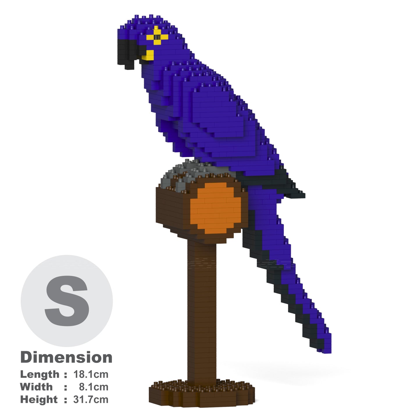 スミレコンゴウインコ 01S