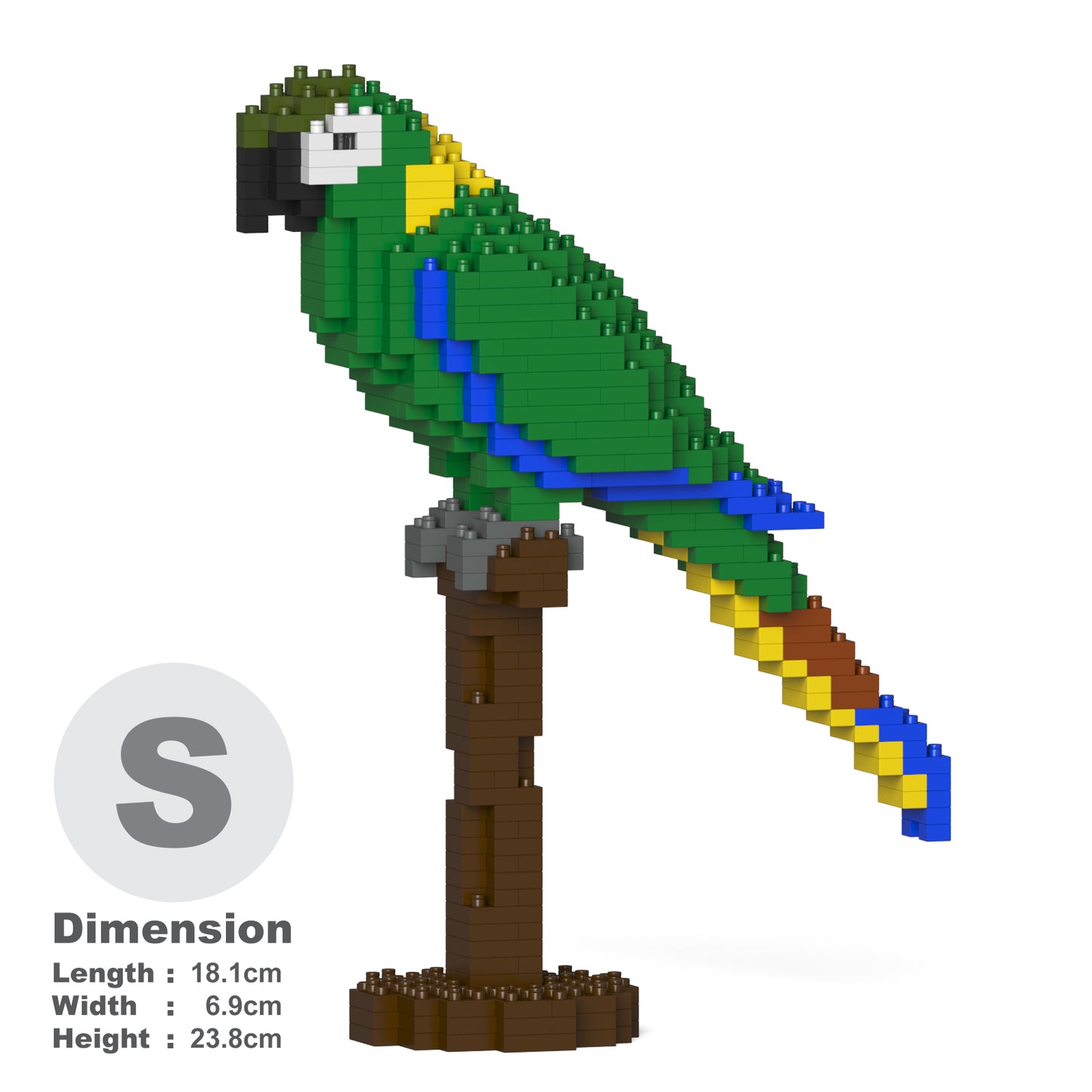 キエリヒメコンゴウインコ 01S