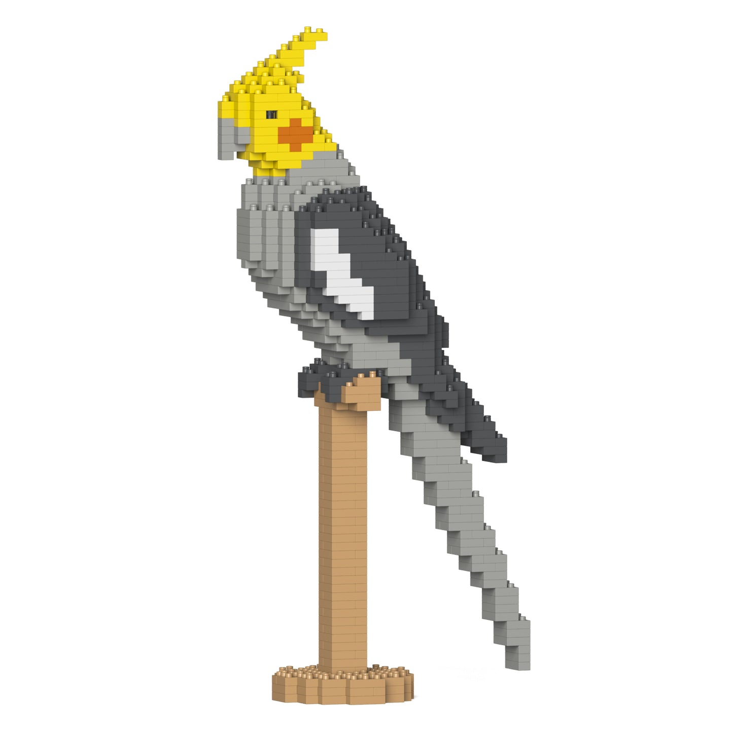 【訳あり(パッケージ不良)】オカメインコ 02S (Black Friday 2025)