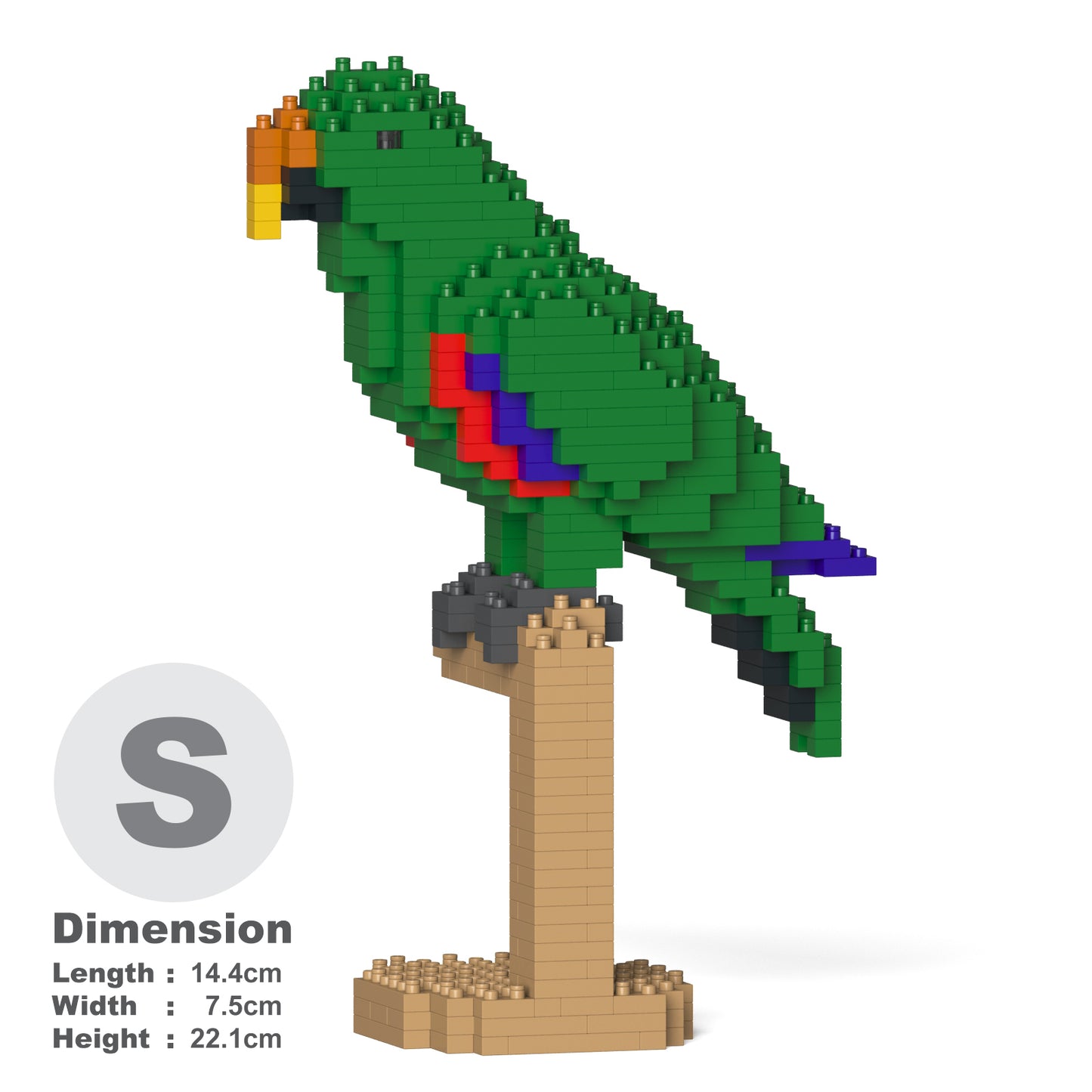 オオハナインコ 02S