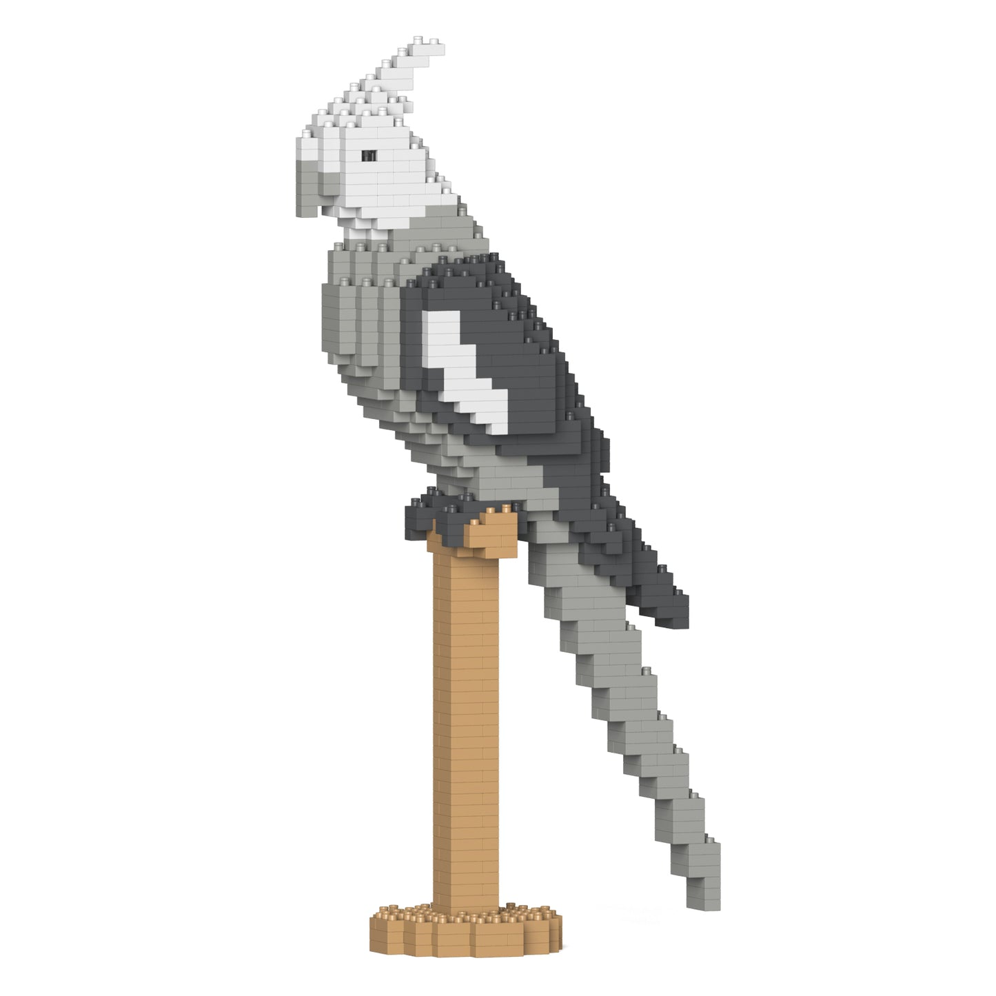 オカメインコ 03S