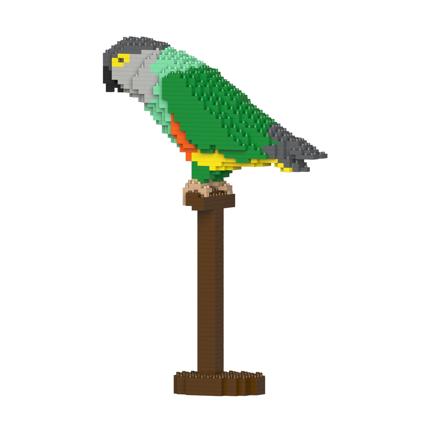 ネズミガシラハネナガインコ 01S
