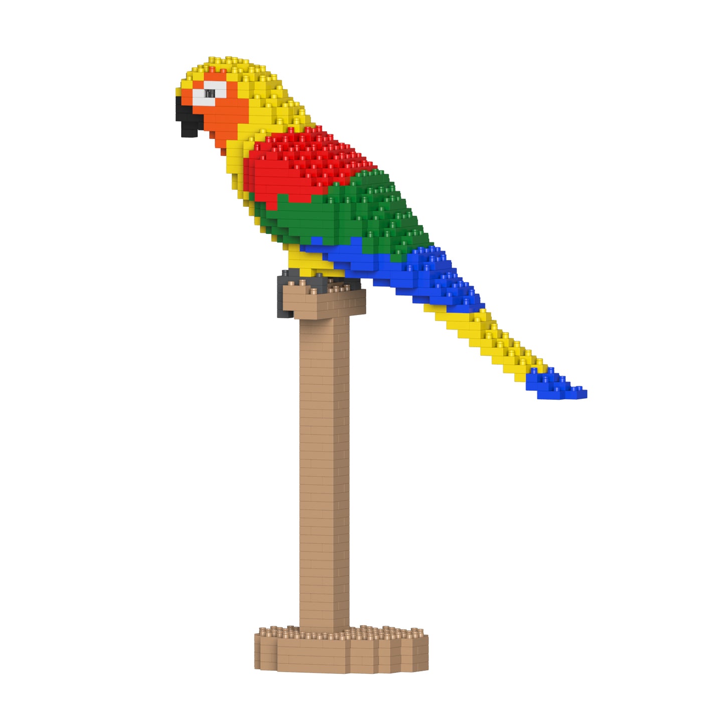 コガネメキシコインコ 01S