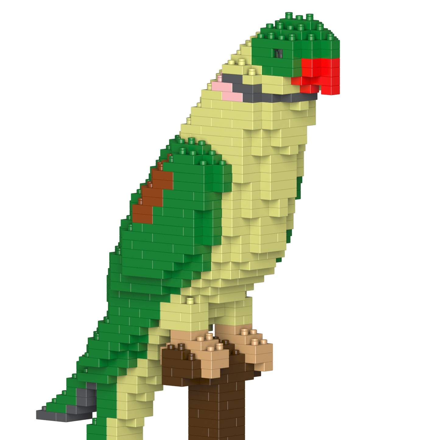 オオホンセイインコ 01S