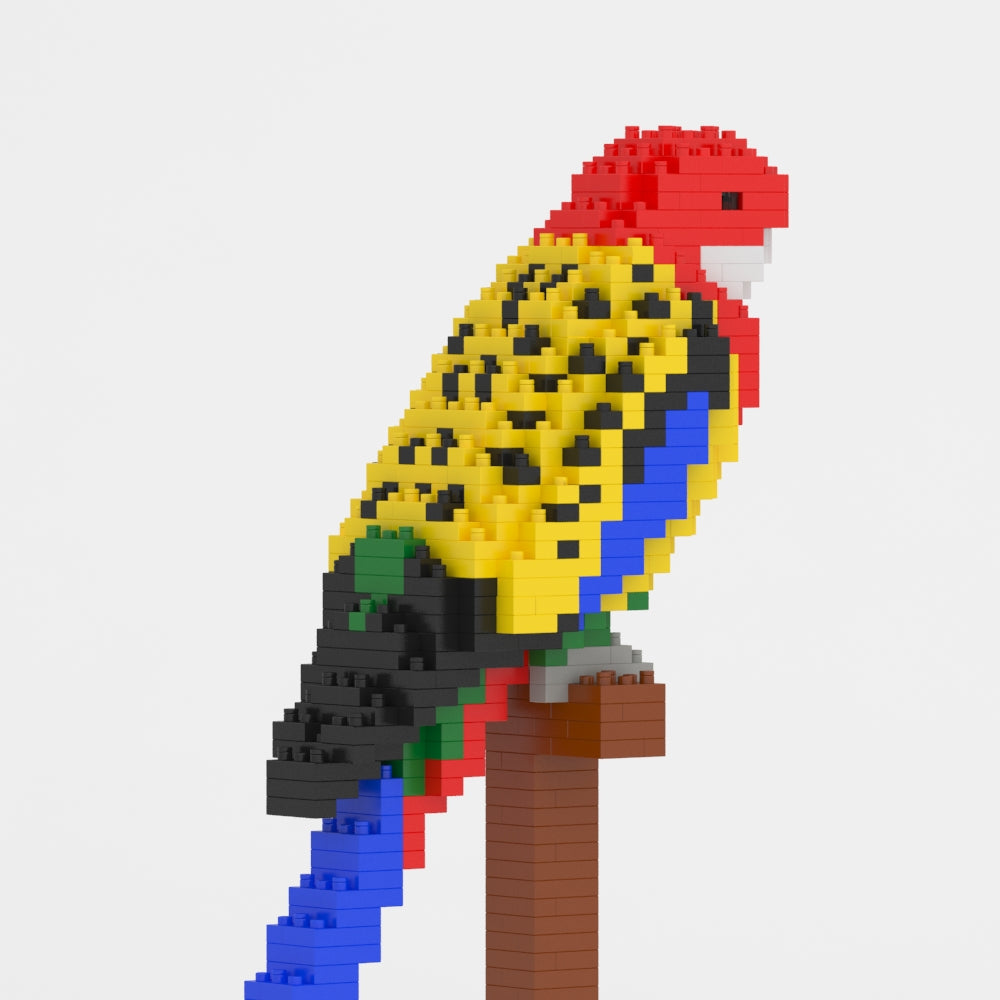 ナナクサインコ 01S