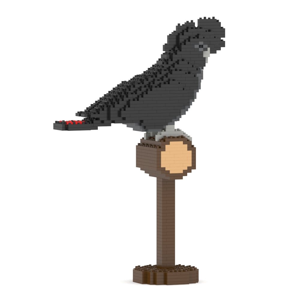 アカオクロオウム 01S