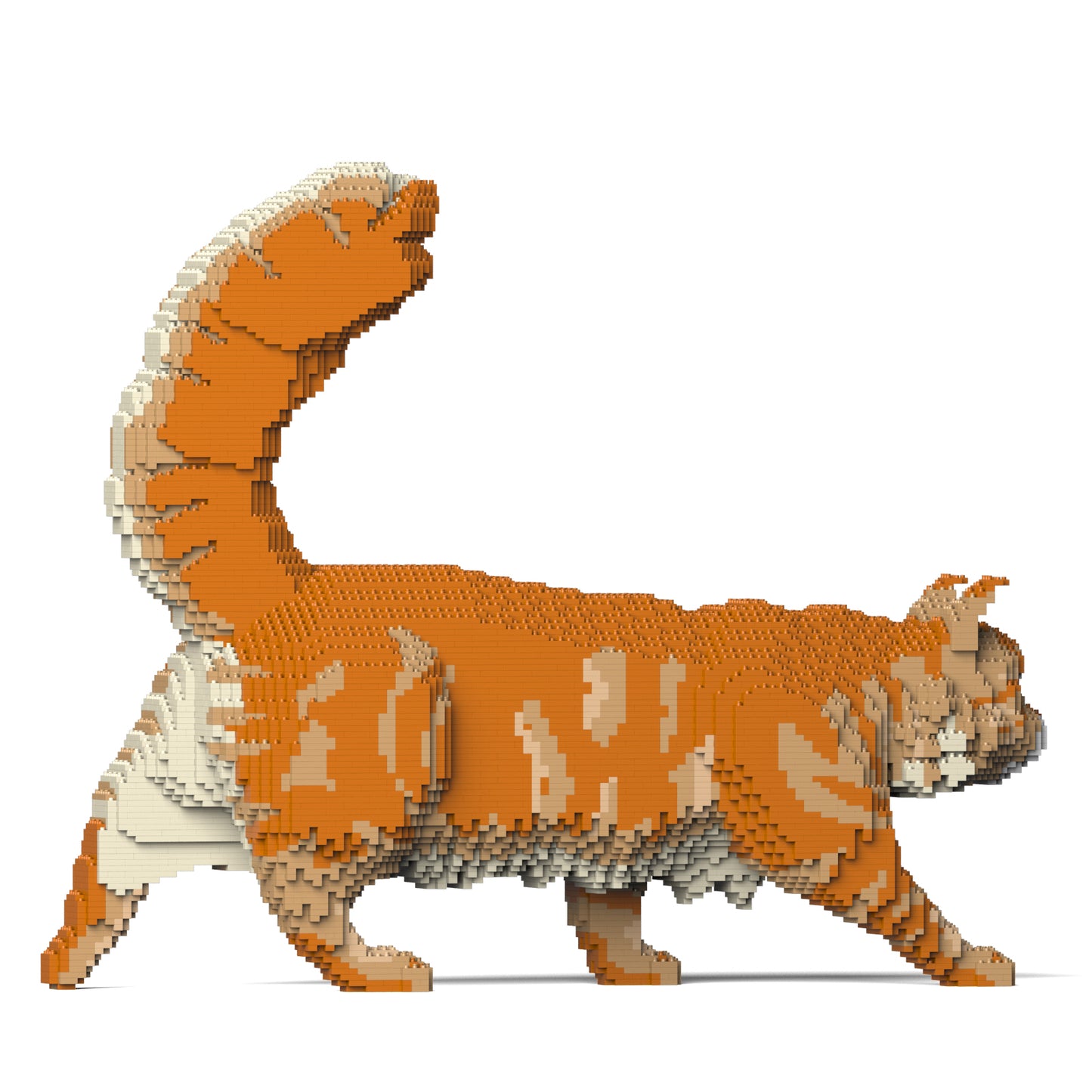 メインクーン 02S-M01