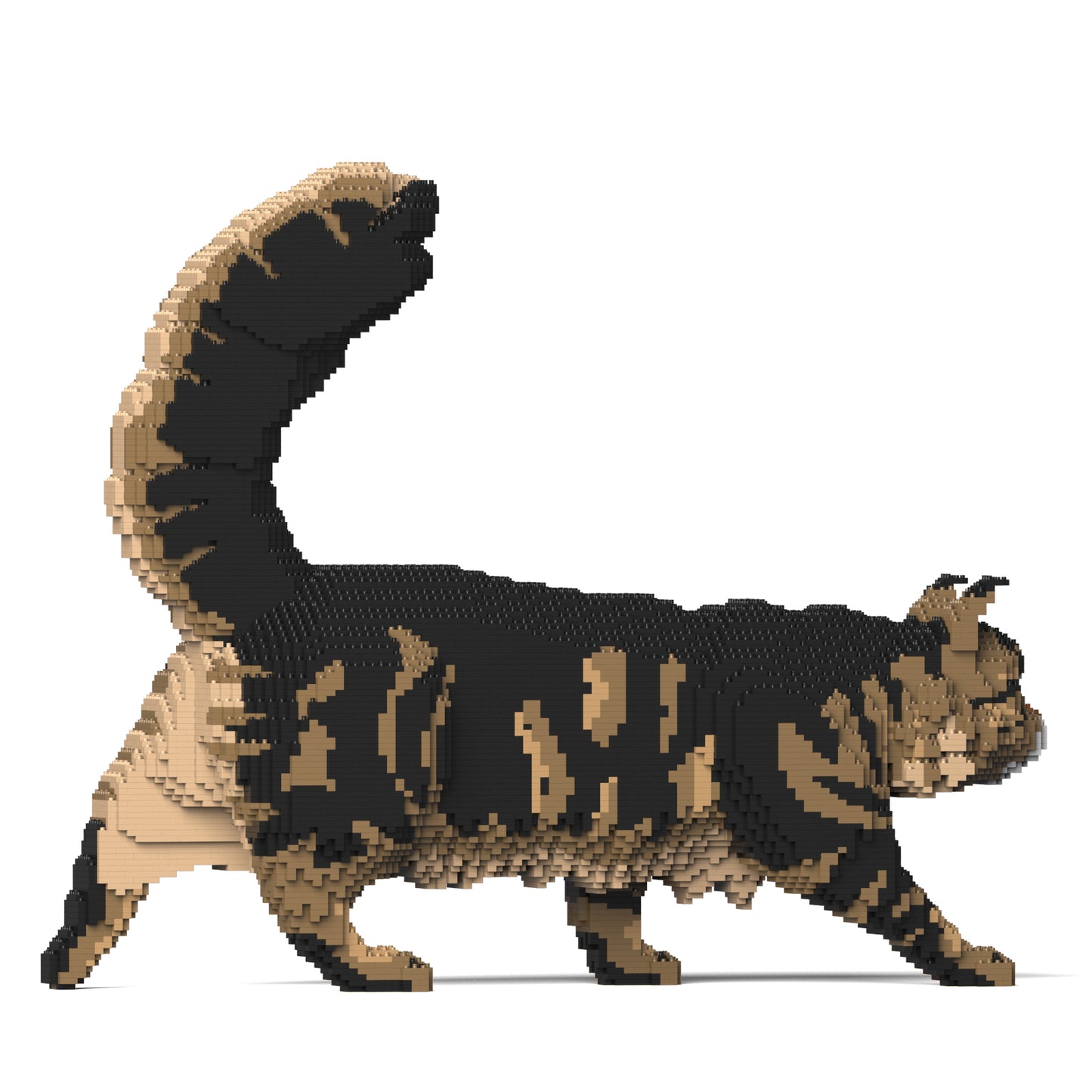 メインクーン 02S-M03