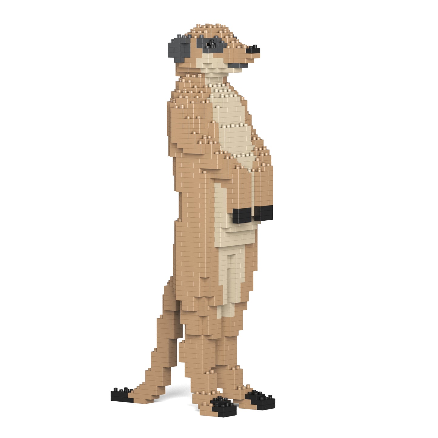 ミーアキャット 01S / 01C